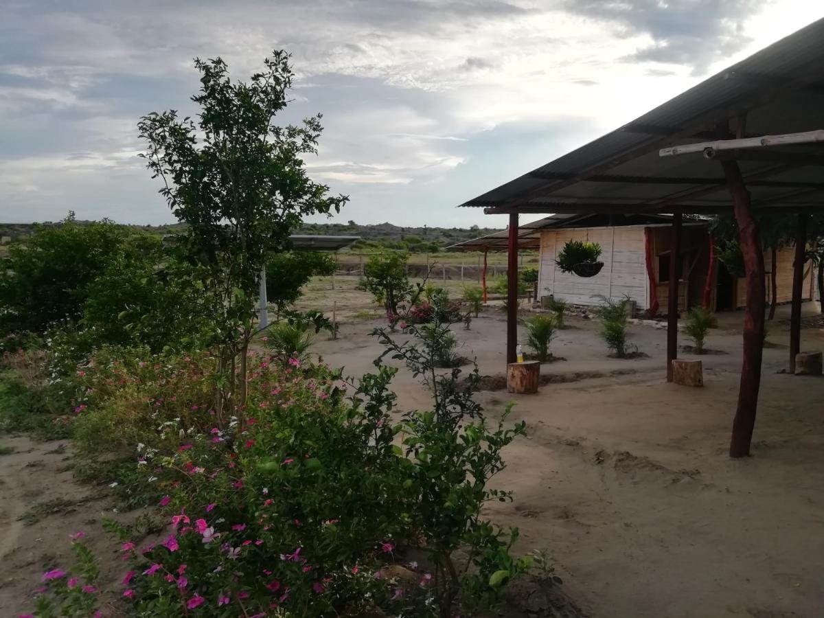 Pachingo La Primavera Villavieja Buitenkant foto