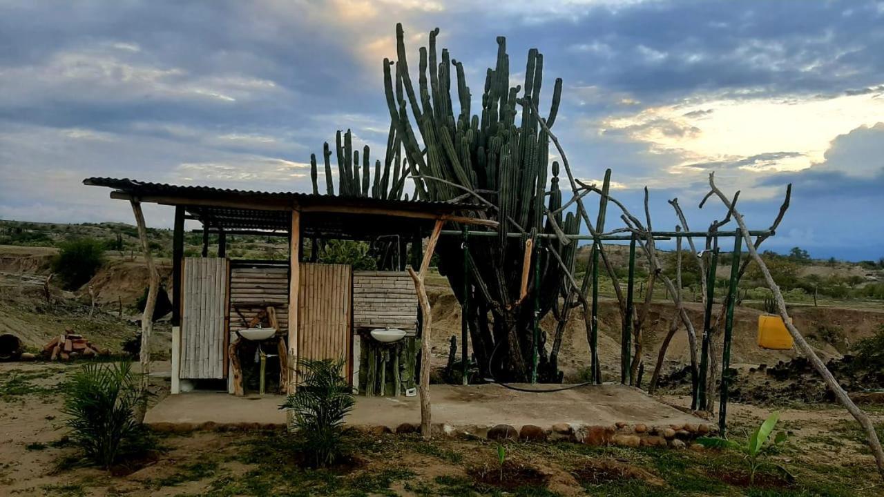 Pachingo La Primavera Villavieja Buitenkant foto