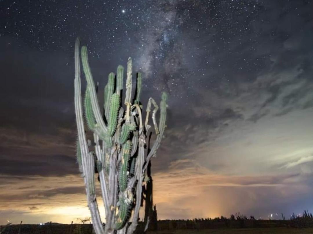 Pachingo La Primavera Villavieja Buitenkant foto
