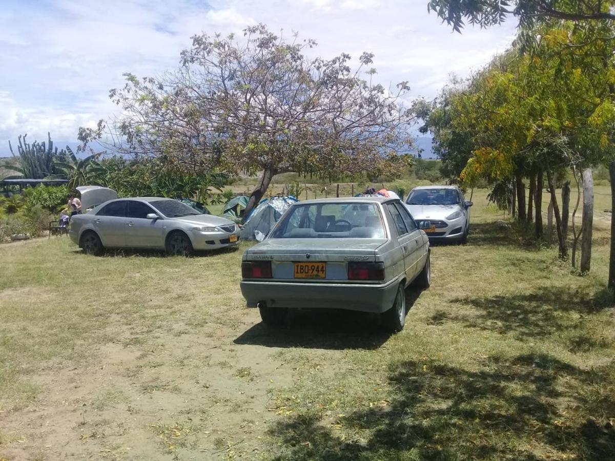 Pachingo La Primavera Villavieja Buitenkant foto