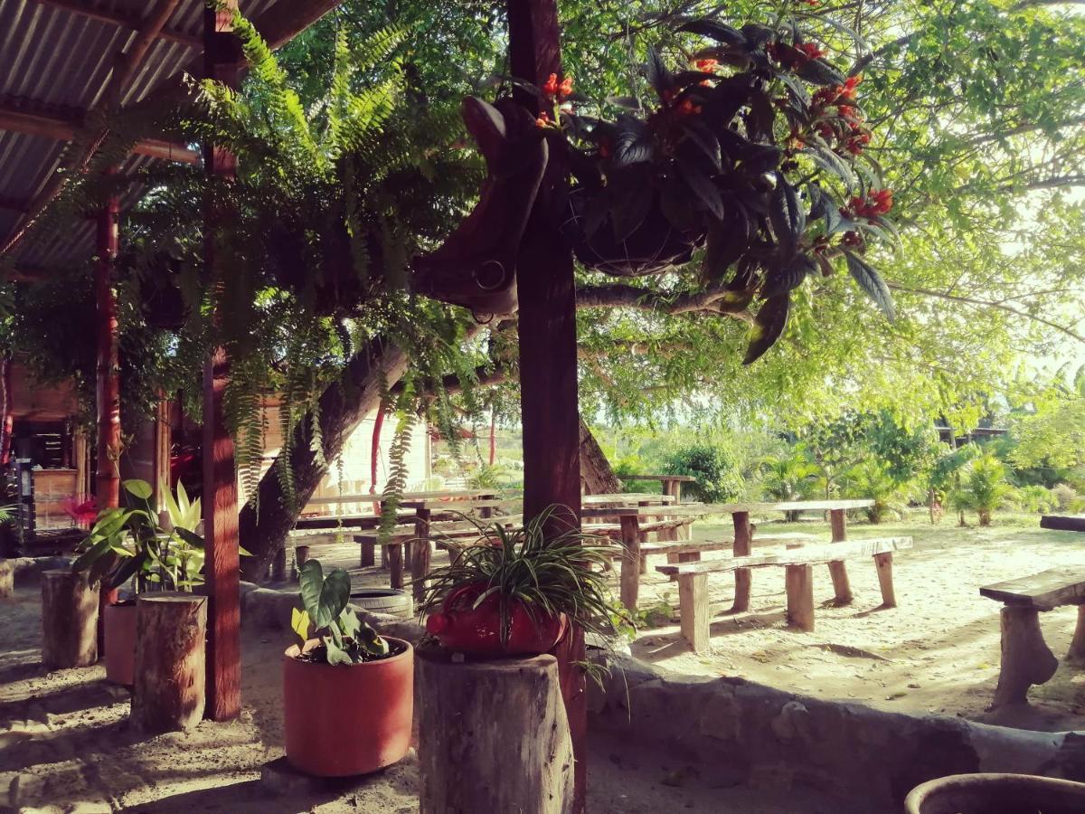 Pachingo La Primavera Villavieja Buitenkant foto