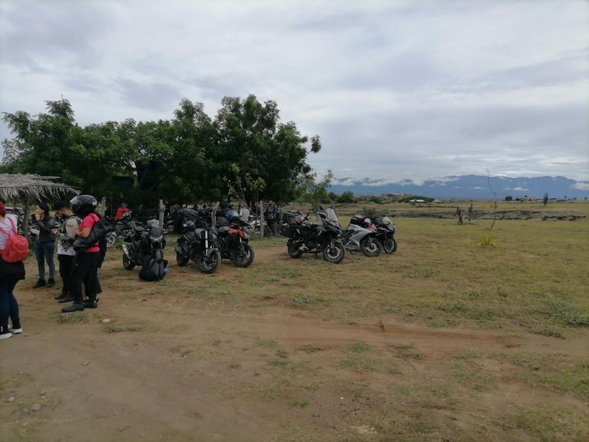 Pachingo La Primavera Villavieja Buitenkant foto
