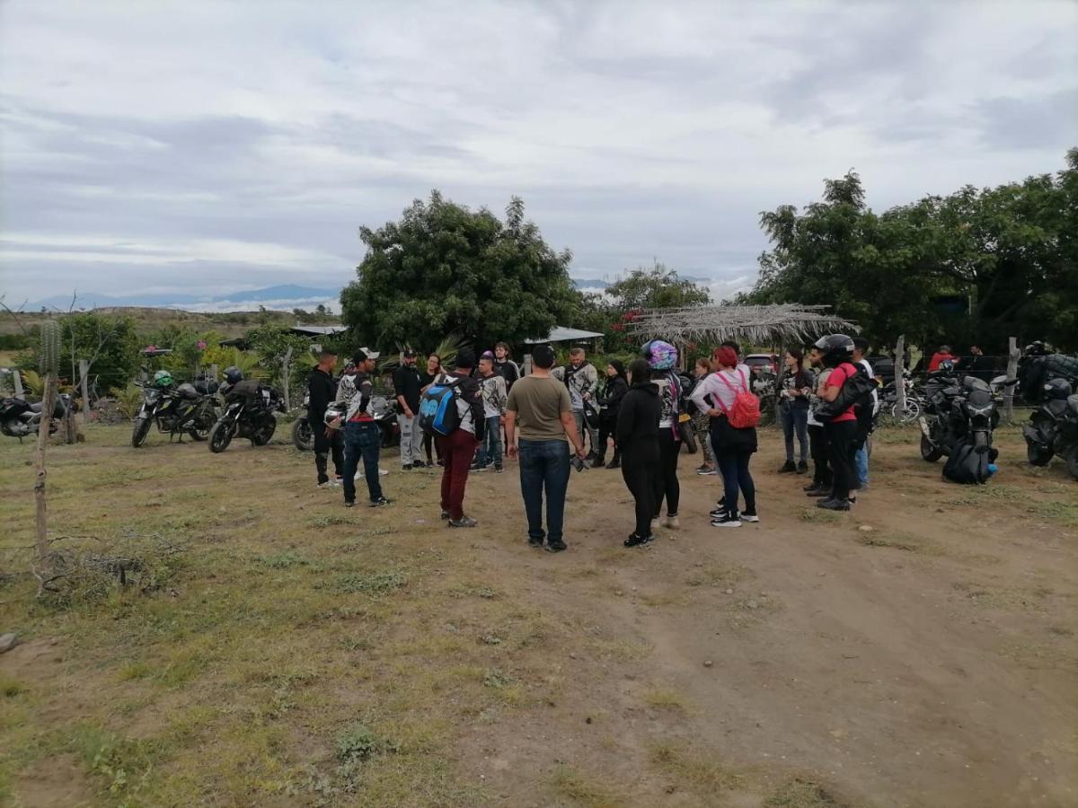 Pachingo La Primavera Villavieja Buitenkant foto