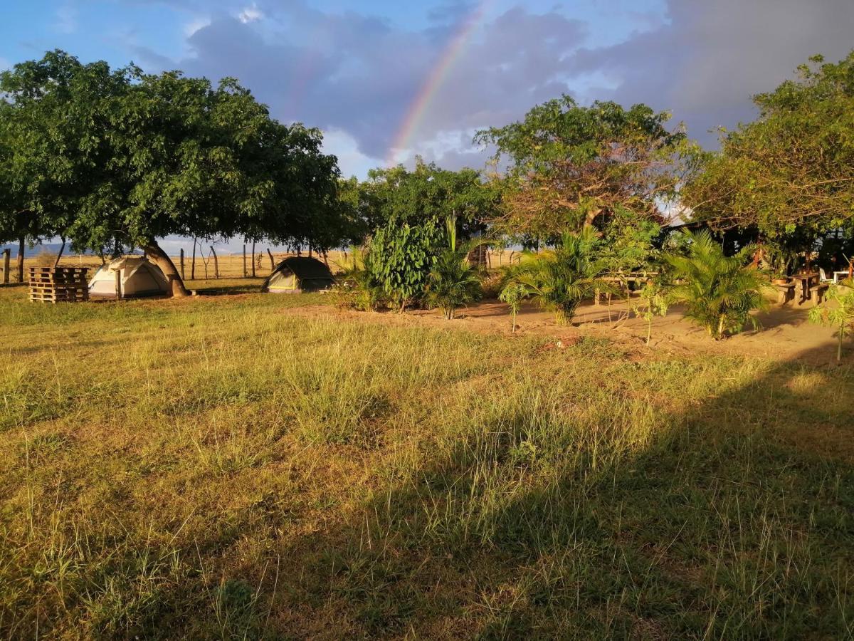 Pachingo La Primavera Villavieja Buitenkant foto