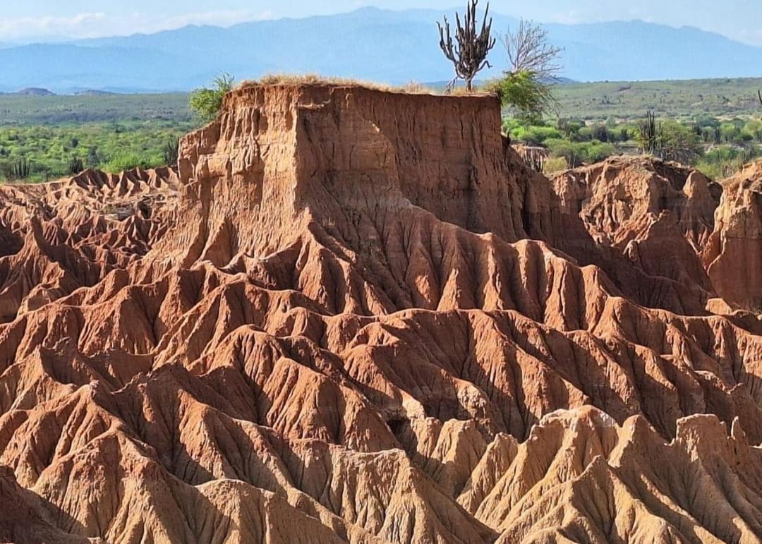 Pachingo La Primavera Villavieja Buitenkant foto