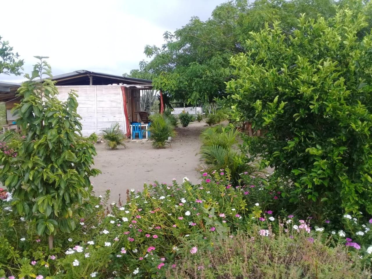 Pachingo La Primavera Villavieja Kamer foto